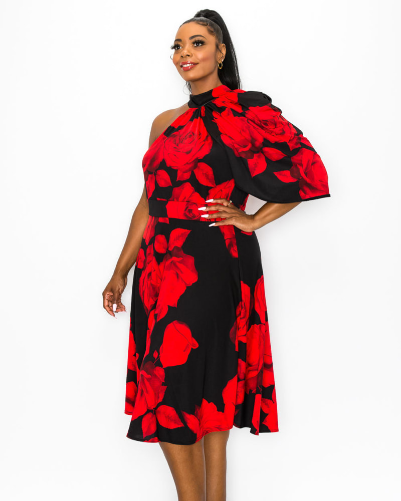 Plus size on sale red floral dress